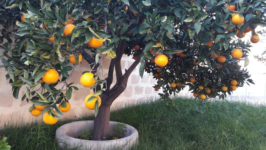 Appartamento Via Vulcano ตราปานี ภายนอก รูปภาพ