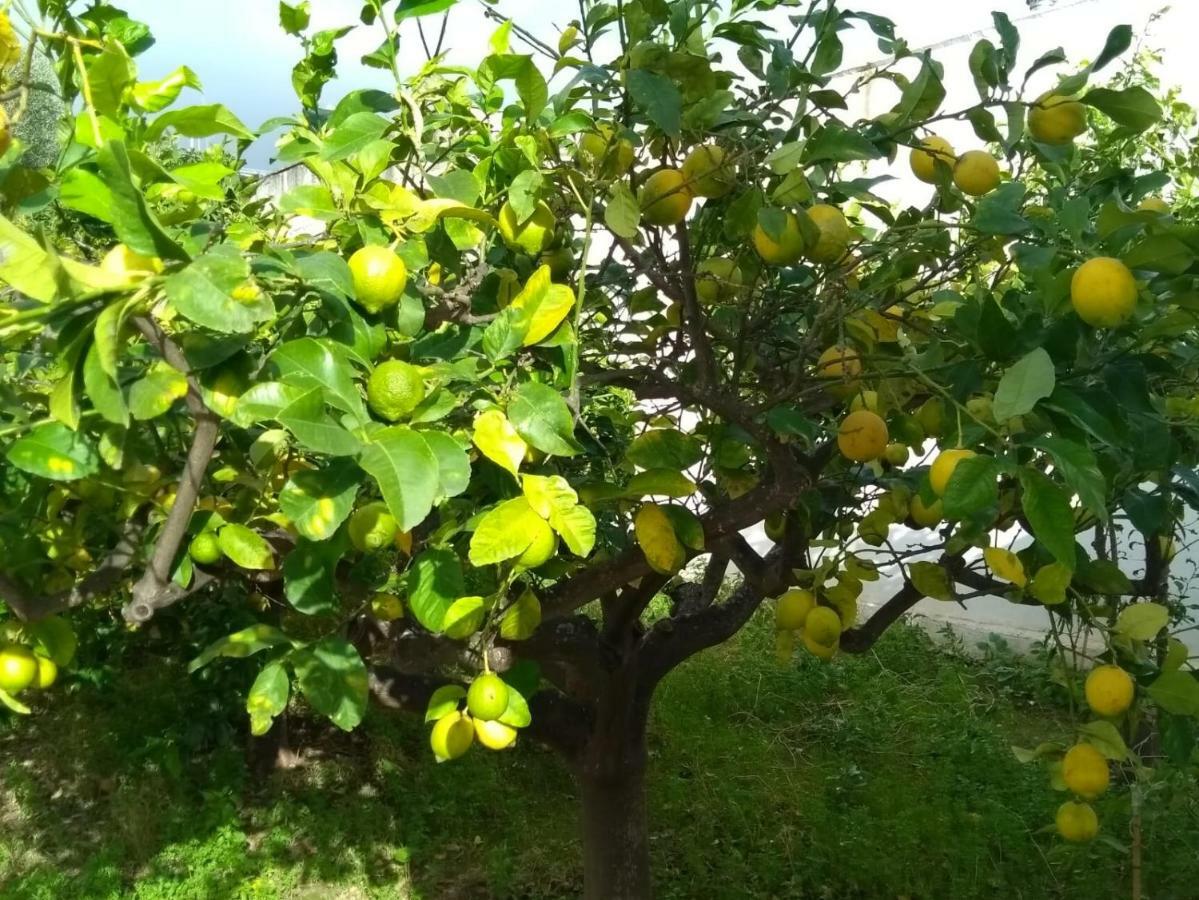 Appartamento Via Vulcano ตราปานี ภายนอก รูปภาพ